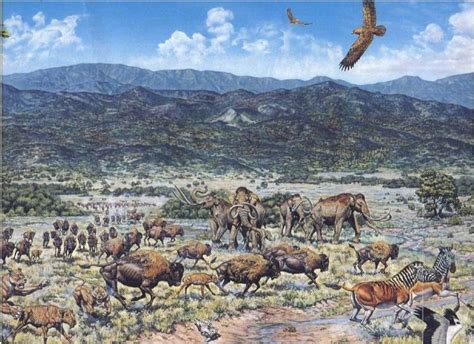 Pin By Tyrill Berry On Prehistoric North America Prehistoric Animals