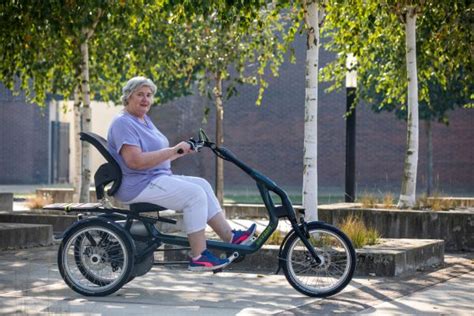 Electric Tricycle For Seniors Van Raam