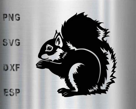 Squirrel Silhouette Svg Free 197 Svg File Cut Cricut