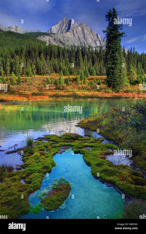 Emerald Lake Yoho Jasper National Park British Columbia Summer