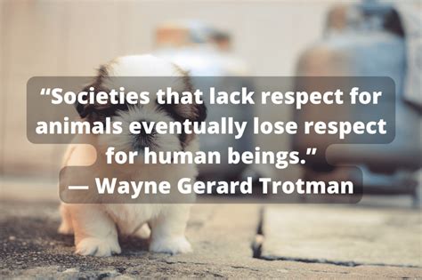 10 Quotes To Stop Animal Cruelty Animal Car Donation