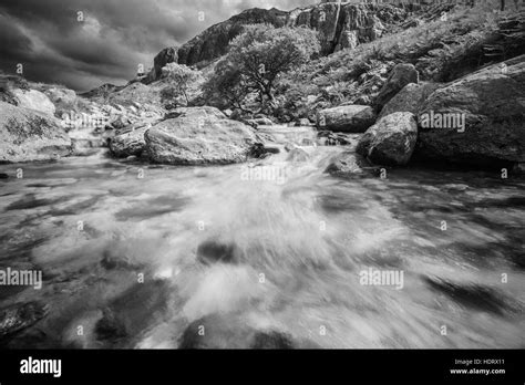 Fresh Clear Water Of Mountain Creek In North Wales Stock Photo Alamy