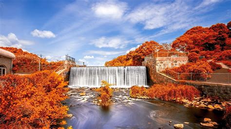 Falls Dam Waterfall Between Autumn Trees Under Cloudy Blue