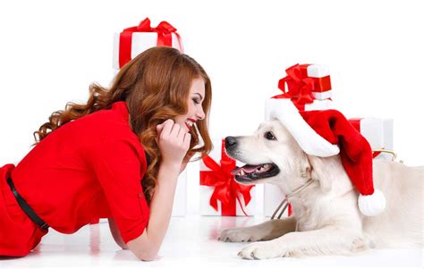 Best best gifts for parents in 2021 curated by gift experts. 10+ Best Christmas Gifts for Dog Parents - Top Dog Tips