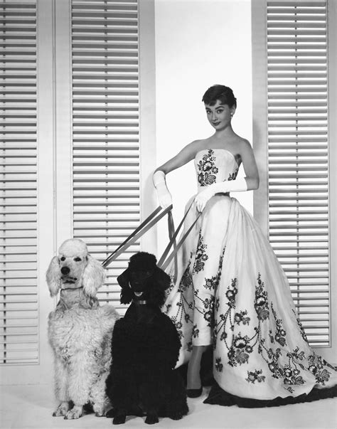 Audrey Hepburn Sabrina 1954 Photo 12037007 Fanpop