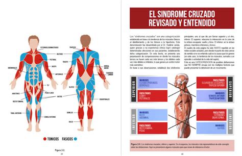 Manual De Fuerza Anatomia Y Entrenamiento 2 Completo Con Dibujos
