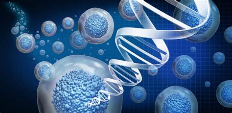 How Are Stem Cells Used In Regenerative Medicine Non Surgical Orthopaedics