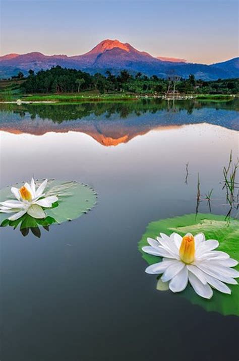 The summer capital of the philippines. 10 Of The Most Beautiful Places In The Philippines To Go ...
