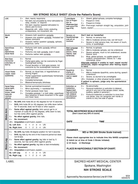 Nih Stroke Scale Pdf Printable Form 2004 2022 Fill Out And Sign
