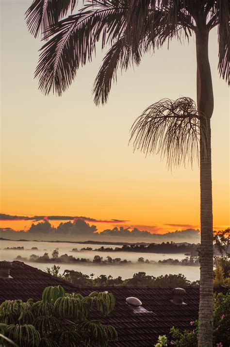 Free Images Beach Landscape Sea Coast Tree Nature