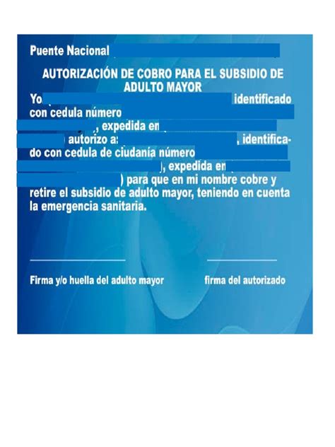 AutorizaciÓn Carta De Adulto Mayordocx Pdf