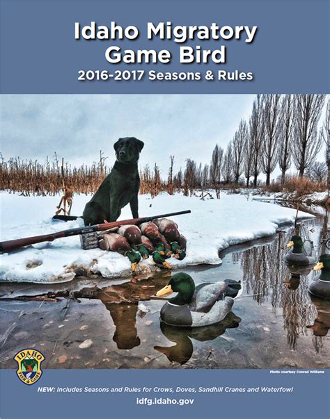 Migratory Game Bird Seasons And Rules Idaho Fish And Game