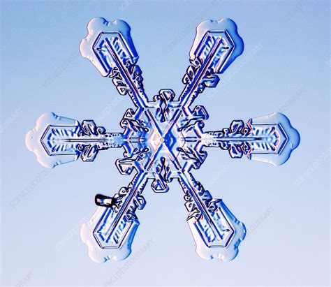 Snowflake Stock Image E1270394 Science Photo Library
