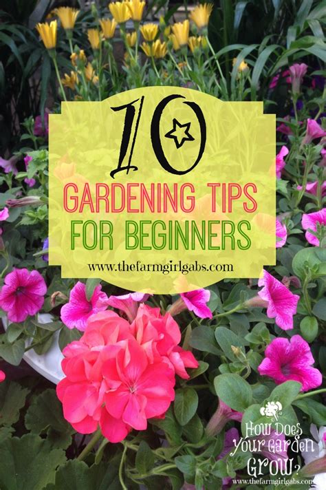 10 Gardening Tips For Beginners The Farm Girl Gabs