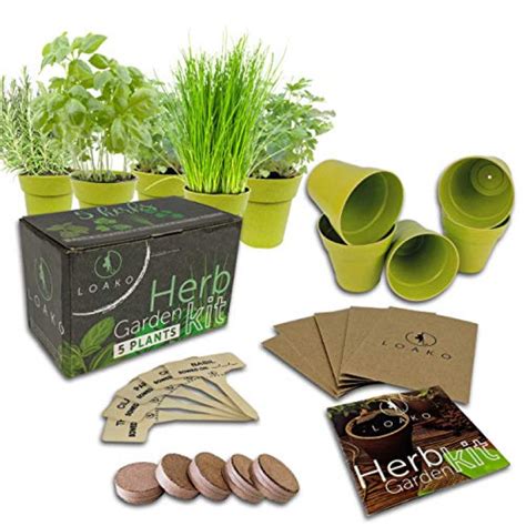 10 Indoor Herb Garden Kits On Amazon Ibtimes
