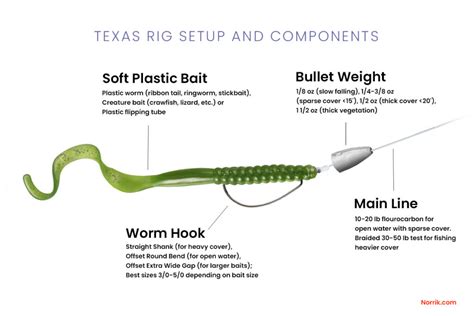 Texas Rig Setup And Fishing Techniques