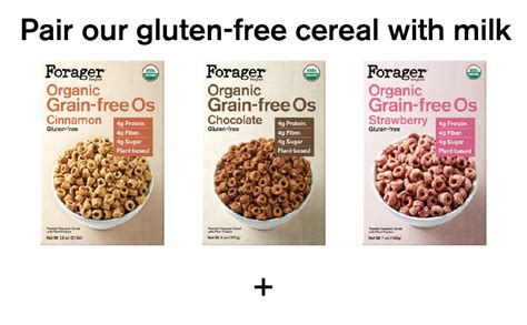 Forager Project Grain And Gluten Free Vegan Breakfast Cereal