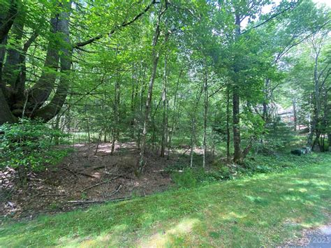 Brevard, Transylvania County, NC Undeveloped Land, Homesites for sale