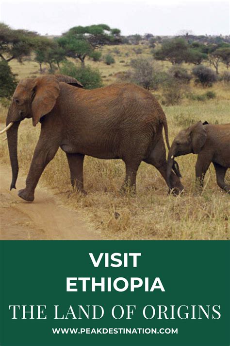 Visit Ethiopia The Land Of Origins Best Travel Guide Peak