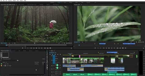 Multiband compessor в adobe premiere pro 2020. Adobe Premiere Pro CC 2020 14.3 - Download for PC Free