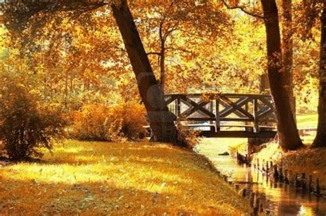 48 Best Images About When Fall Arrives On Pinterest Falls Creek In