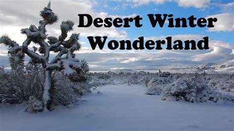 Beautiful Desert Snow Makes Winter Wonderland In Joshua Tree National