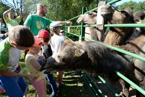 Prázdniny Ako Lusk V Prímestskom Tábore Košickej Zoo Deti Spoznávajú