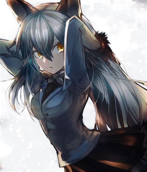 Anime Picture Kemono Friends Silver Fox Kemono Friends