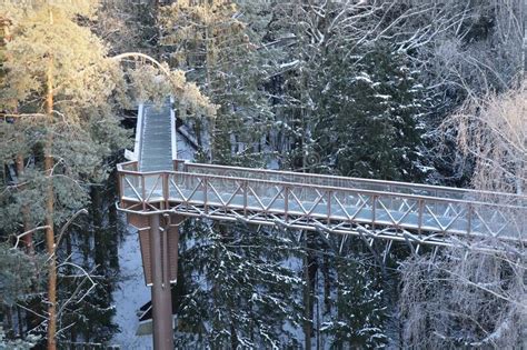 Metal Footbridge Over The Stream In Winter Snowy Forest Beautiful