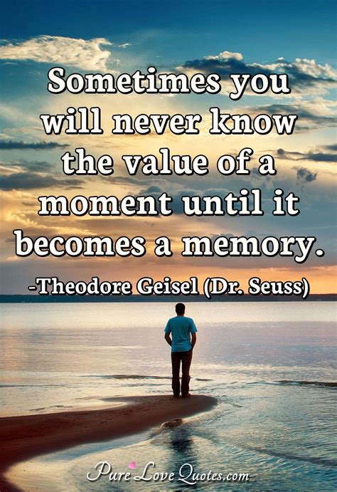 Sometimes You Will Never Know The Value Of A Moment Until It Becomes A Memory Purelovequotes