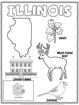 Illinois Word Search By Ann Fausnight Tpt