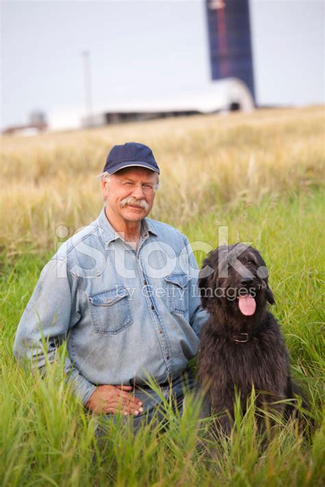 Cheerful Farmer With Dog On Farm Stock Photo Royalty Free Freeimages