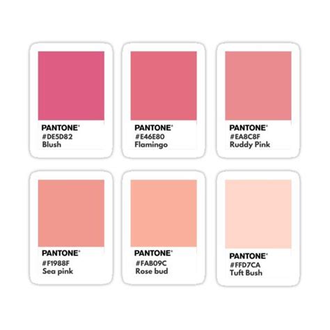 Peach And Pink Pantone Color Swatch Sticker By Softlycarol In 2021