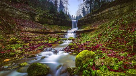 Waterfall Stream On Algae Covered Rocks Green Trees Forest Background
