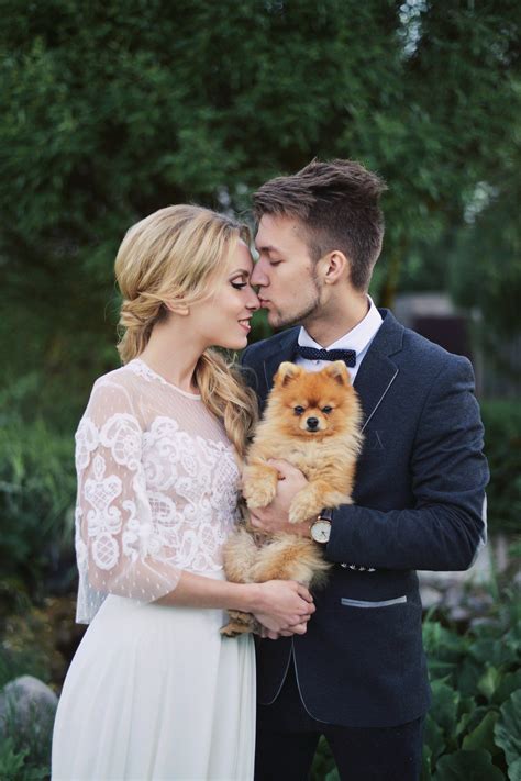 See more ideas about cute puppies, cute dogs, cute animals. #pomeraniancake | Wedding dog collar, World cutest dog, Wedding pets