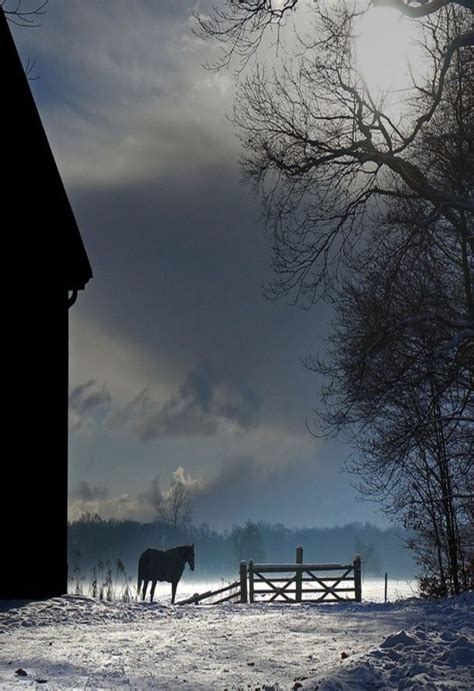 134 Best Images About Country Silhouette Pix On Pinterest