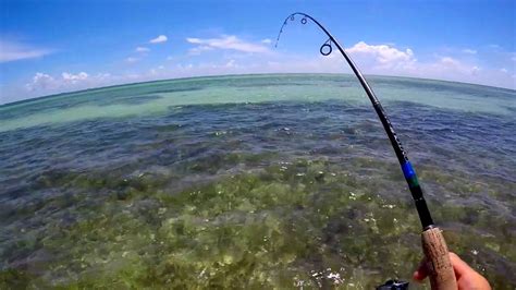 Wade Fishing For Bonefish Florida Keys Youtube