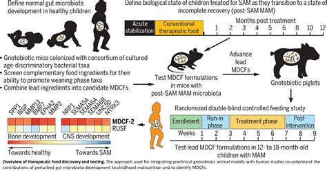 Targeting Gut Microbes To Treat Undernourished Children Science Mission