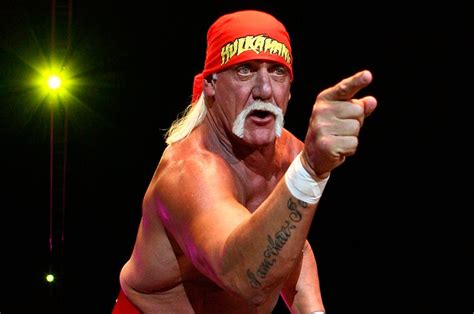 Hulk Hogan Awarded 80 Million In Sex Tape Lawsuit Against Gawker NME