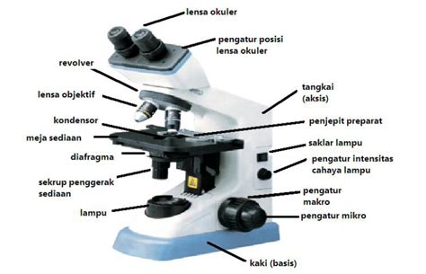 Halaman Unduh Untuk File Gambar Mikroskop Elektron Dan Fungsi Bagian