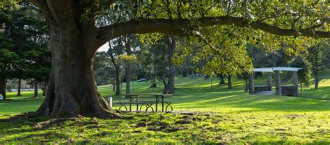 Frog Hollow Picnic Site Centennial Parklands