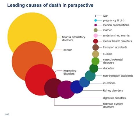 Visual The Leading Causes Of Human Death Infographictv Number