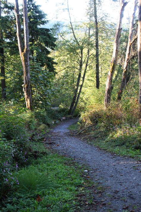 Burnaby Mountain Hiking and Biking Trails | Vancouver Trails