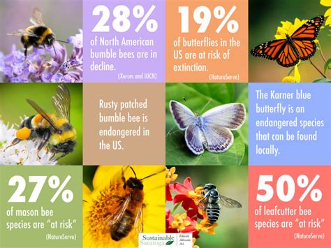Take Action Help Us Protect Our Pollinators Ieatgreen Ieatgreen