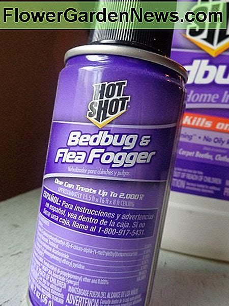 Hot Shot Bed Bug Y Flea Fogger Review 🌹 Consejos Útiles Jardineros Y
