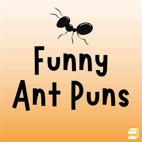 115 Funny Ant Puns To Make You Laugh Ant Il You Cry Box Of Puns