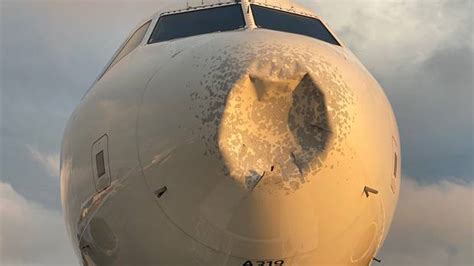 Bird Strike Causes Jaw Dropping Damage To Passenger Plane Otago