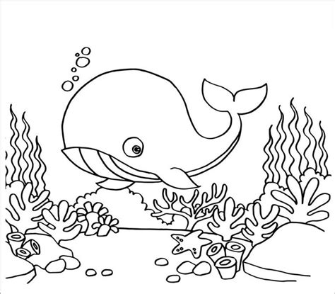 Cute Whale Coloring Page For Kids Coloringbay