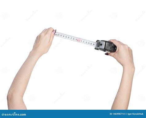 Measuring Yardstick Is Female Hands Stock Photo Image Of Hand
