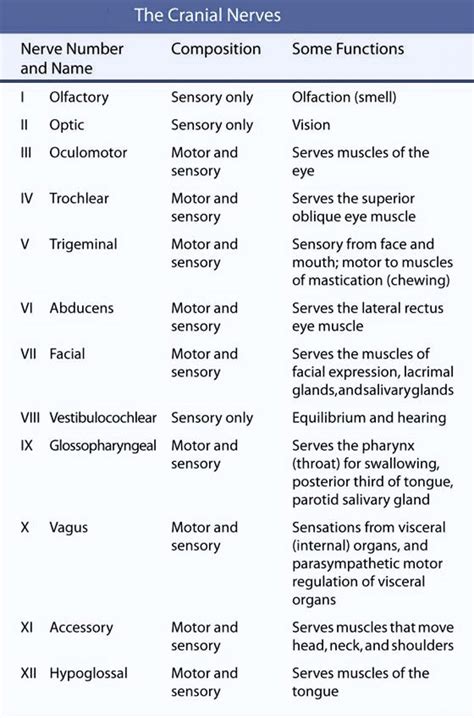 This Chart Lists The Functions Of The Cranial Nerves School Pinterest Cranial Nerves